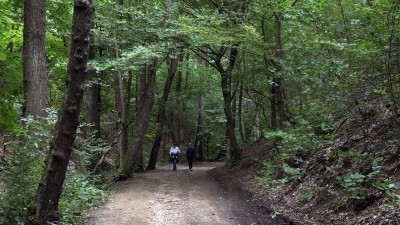 Elindult a kullancsszezon