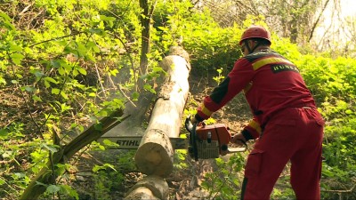 Állagmegóvás, takarítás Almárban