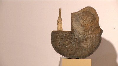 Metamorphosis Transylvaniae