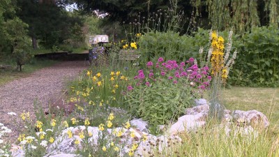 Nyílt napot tartottak az egyetem Botanikus