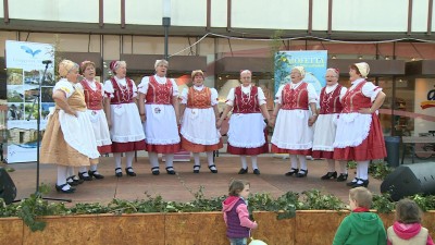 Vidék a Város Terein