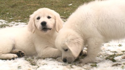 Áprilistól csak regisztráció után lehet