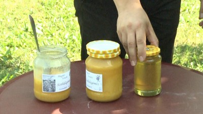 Kiváló minőségű a magyar méz