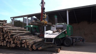 Nyílt napot tartottak a Tűzifaudvarban