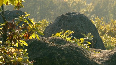 Védett kaptárkövek