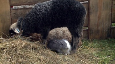 Húsvéti programok Egerben