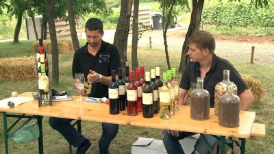 Naturális borok és borászatok fesztiválja