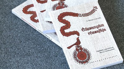 Palócföldi dalok és népszokások