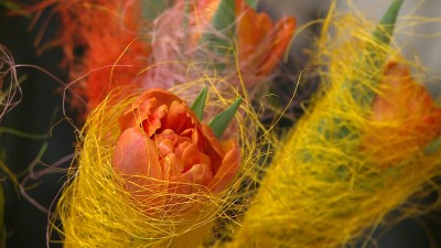 Nőnap a cukorbetegeknél