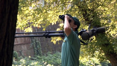 Az Érsekkert madarait figyelték meg