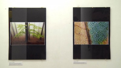 Természetfotó-kiállítás